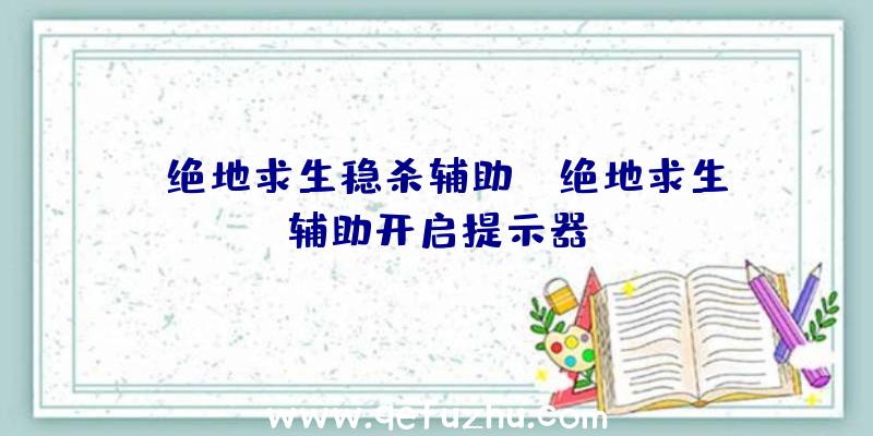 「绝地求生稳杀辅助」|绝地求生辅助开启提示器